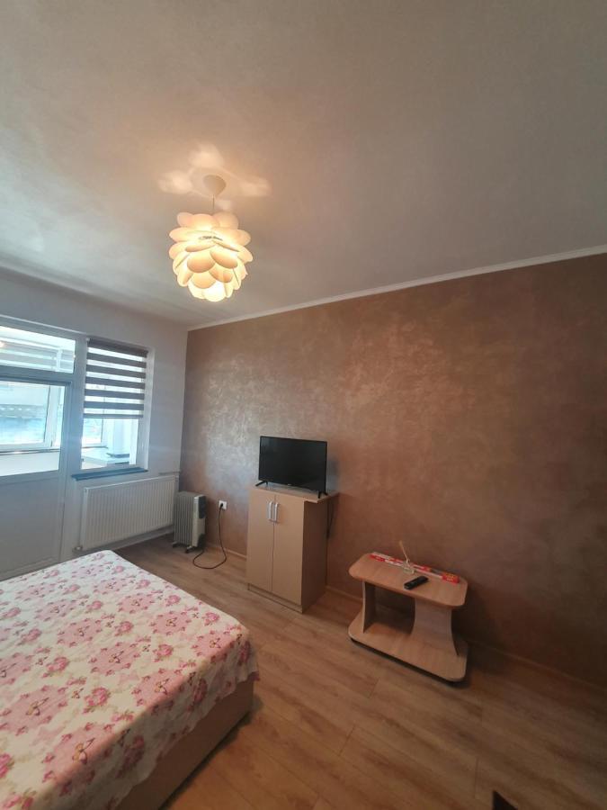 Appartamento Studio ALPIN 5 Râmnicu Vâlcea Esterno foto