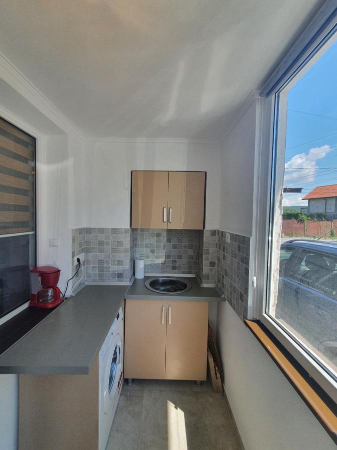 Appartamento Studio ALPIN 5 Râmnicu Vâlcea Esterno foto